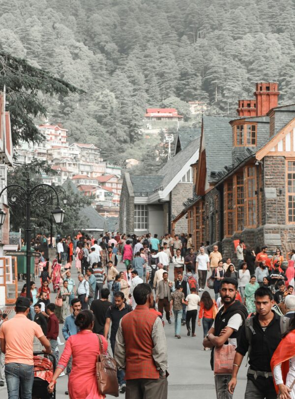 shimla tour